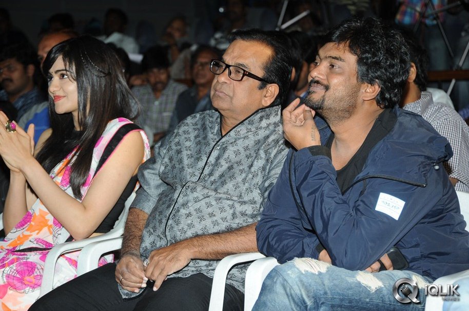 Heart-Attack-Audio-Success-Meet